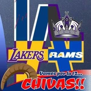 Meet your Posher, Gardner